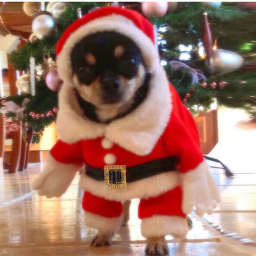 Disfraz navideño 3D para perro Nexora